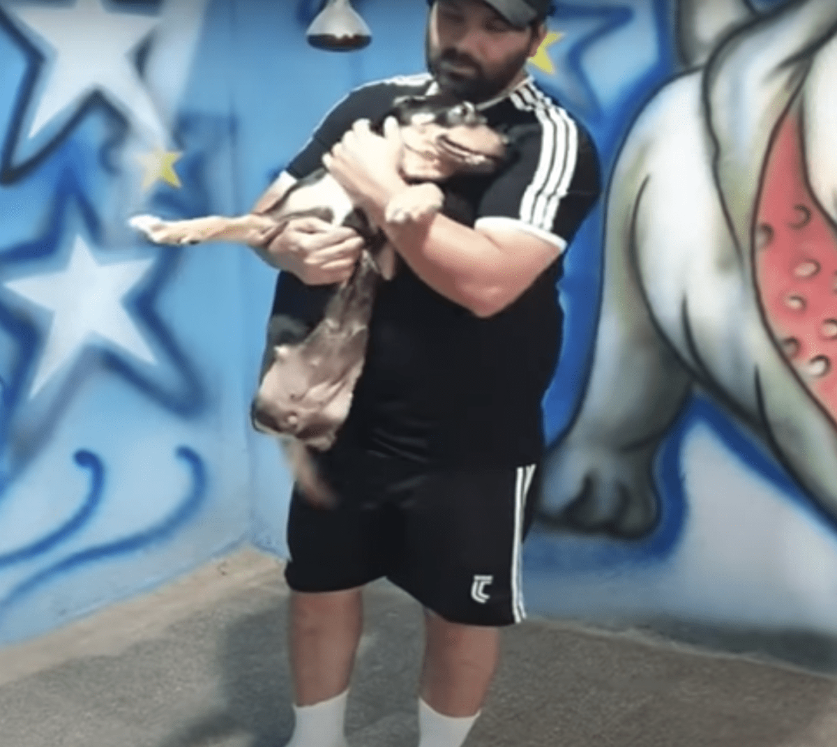 Cоșul соnținе un сâinе сu „jumătаtе dе соrр” ре саrе nimеni nu о dоrеștе, рunе осhii ре un bărbаt