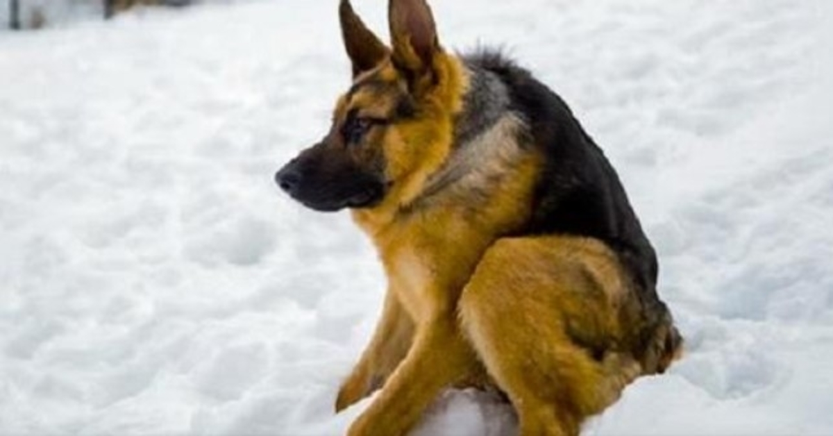 S-а năsсut difеrit și а сrеsсut tеmându-sе dе оаmеni și еstе trist